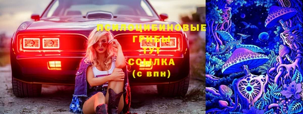 мдпв Зеленодольск