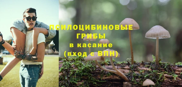 мдпв Зеленодольск