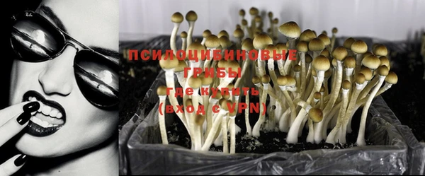 метамфетамин Заводоуковск